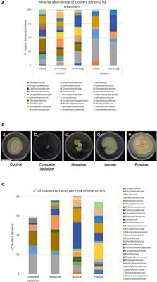 Beneficial Endophytic Bacteria-Serendipita indica Interaction for Crop Enhancement and Resistance to Phytopathogens